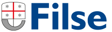 FILSE logo