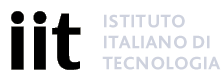 Istituto Italiano di Tecnologia logo