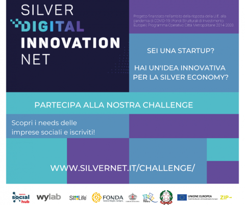 Silver digital innovation net
