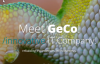 geco logo